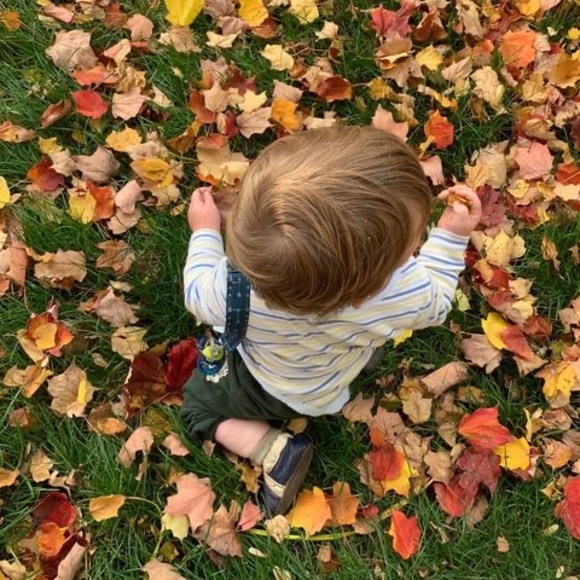 Meet your Posher, Ana - Picture 1 of 1